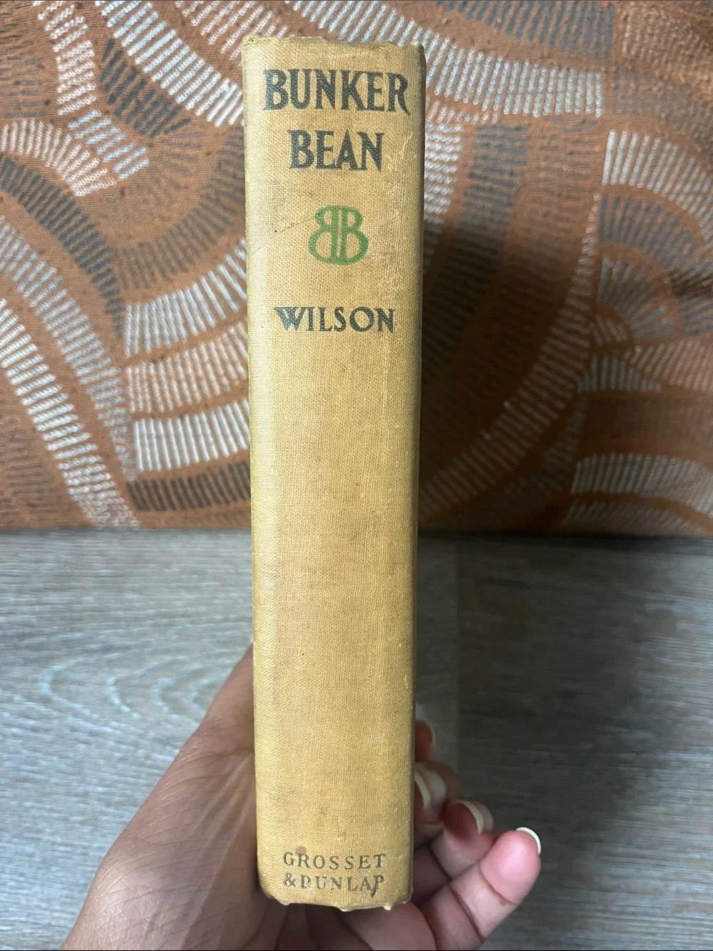 Bunker Bean by Harry Leon Wilson - Green and Tan Clothbound Book 1913